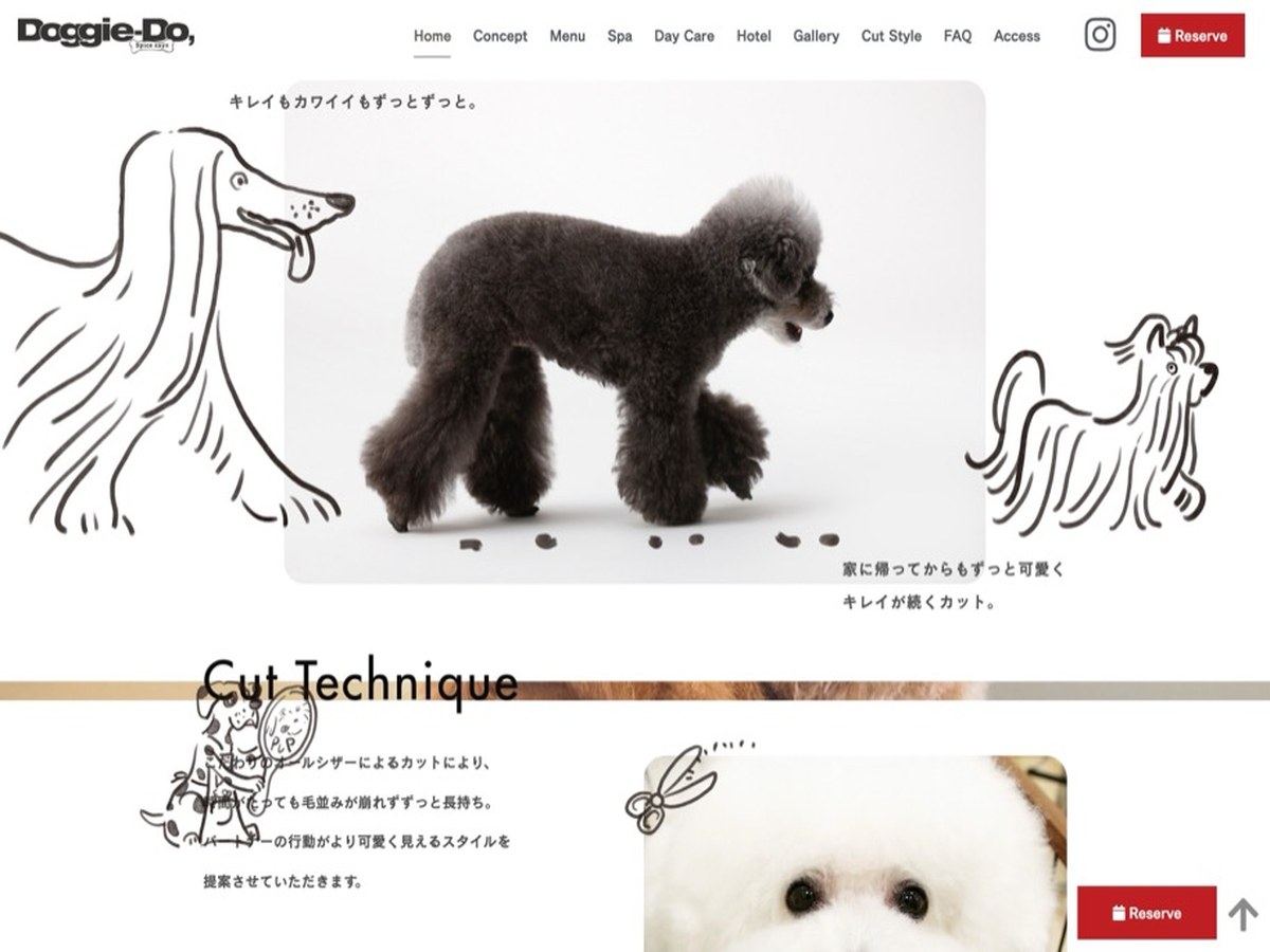 Doggie-Do