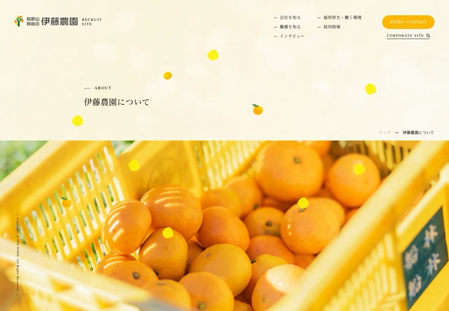 伊藤農園 のパソコン表示
