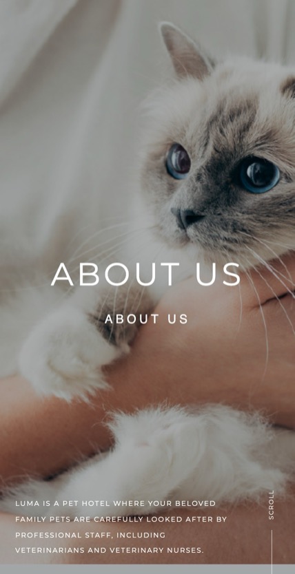 LUMA PET HOTEL のスマホ表示